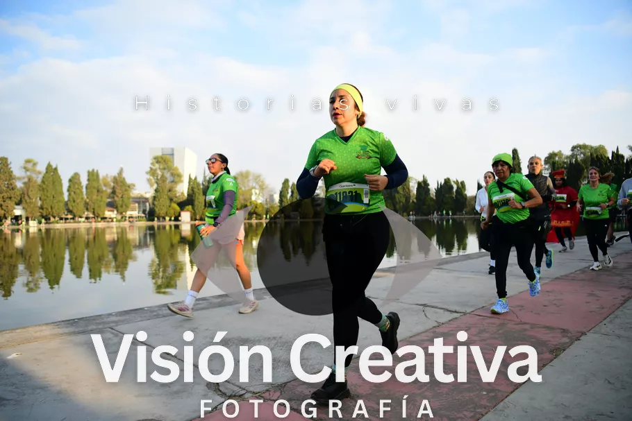 Foto del evento Shrek - CDMX 2026