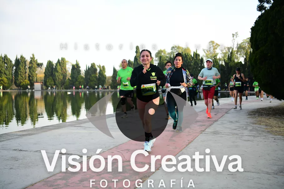 Foto del evento Shrek - CDMX 2026