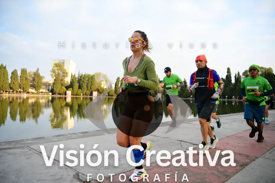 Foto del evento Shrek - CDMX 2026