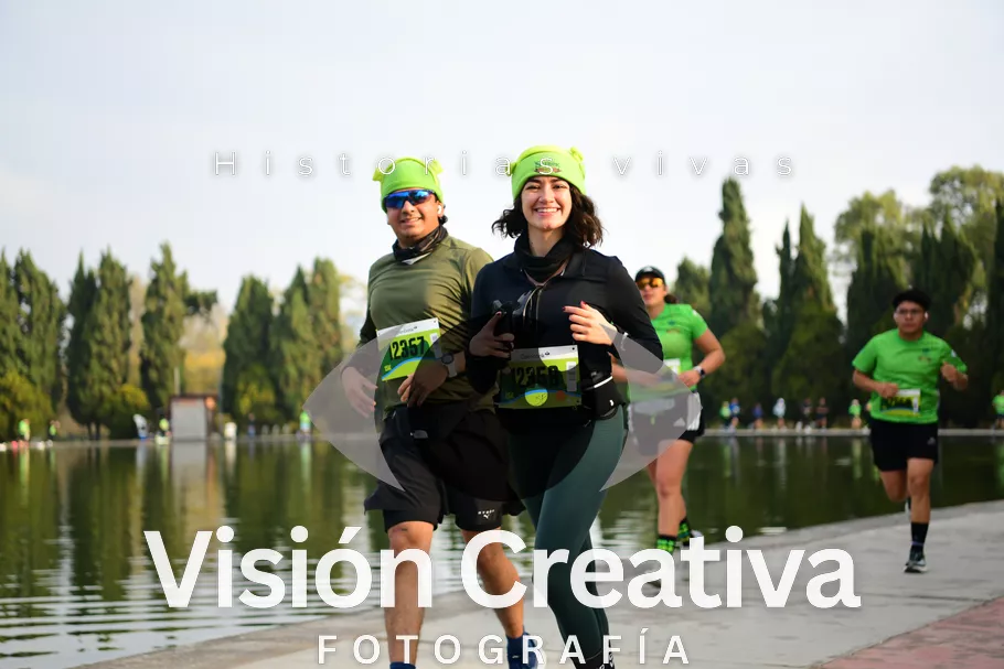 Foto del evento Shrek - CDMX 2026
