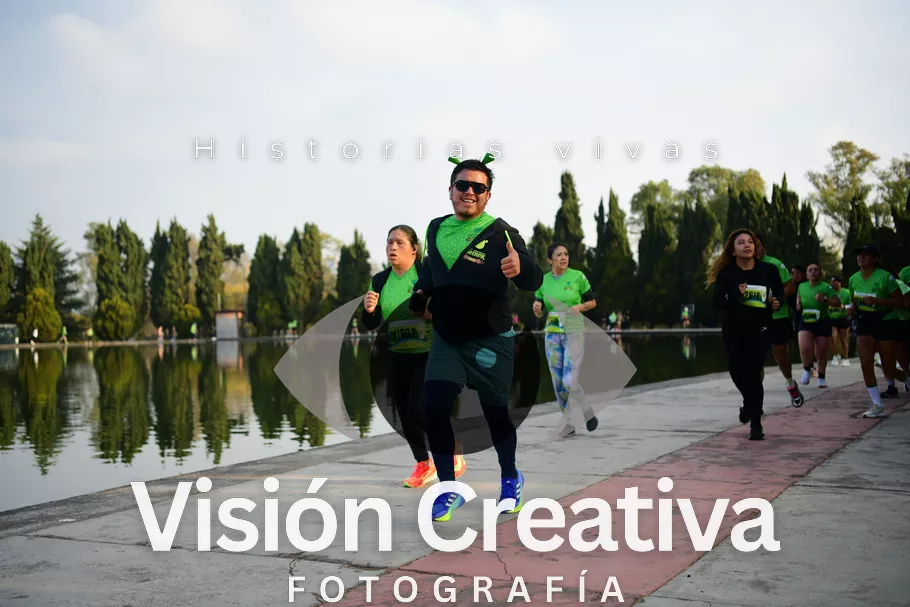Foto del evento Shrek - CDMX 2026