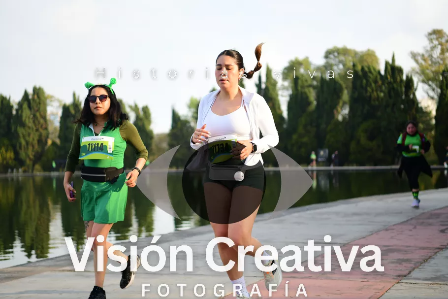 Foto del evento Shrek - CDMX 2026