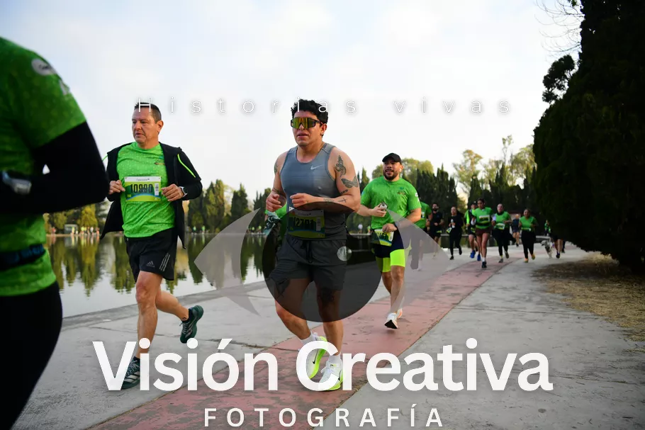 Foto del evento Shrek - CDMX 2026