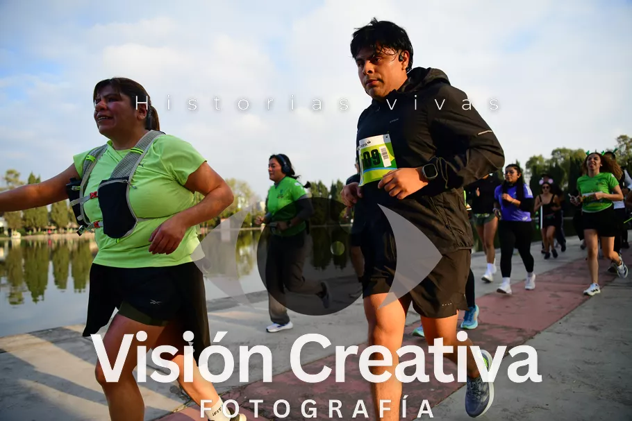 Foto del evento Shrek - CDMX 2026