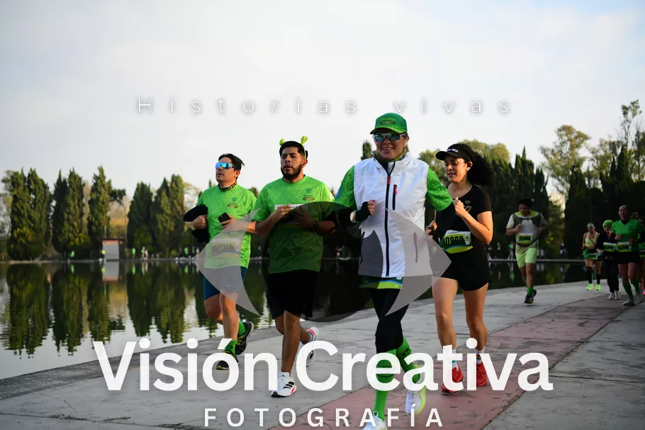 Foto del evento Shrek - CDMX 2026