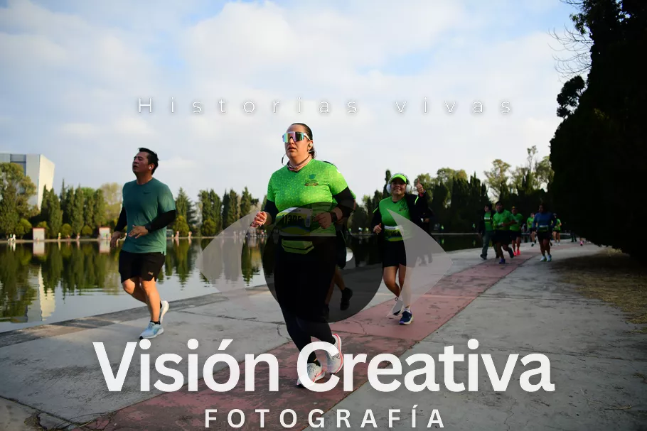 Foto del evento Shrek - CDMX 2026