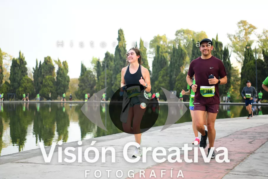 Foto del evento Shrek - CDMX 2026