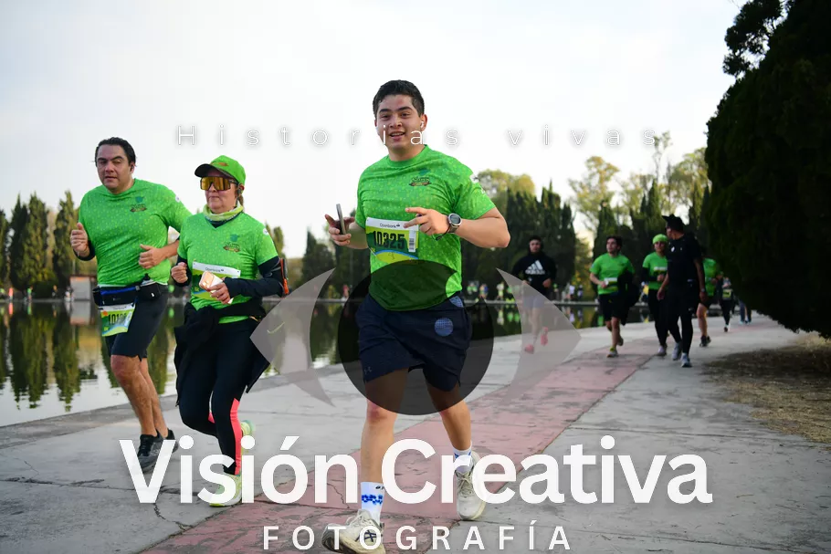 Foto del evento Shrek - CDMX 2026