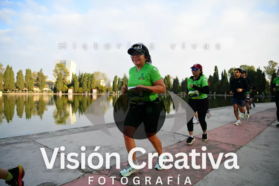Foto del evento Shrek - CDMX 2026