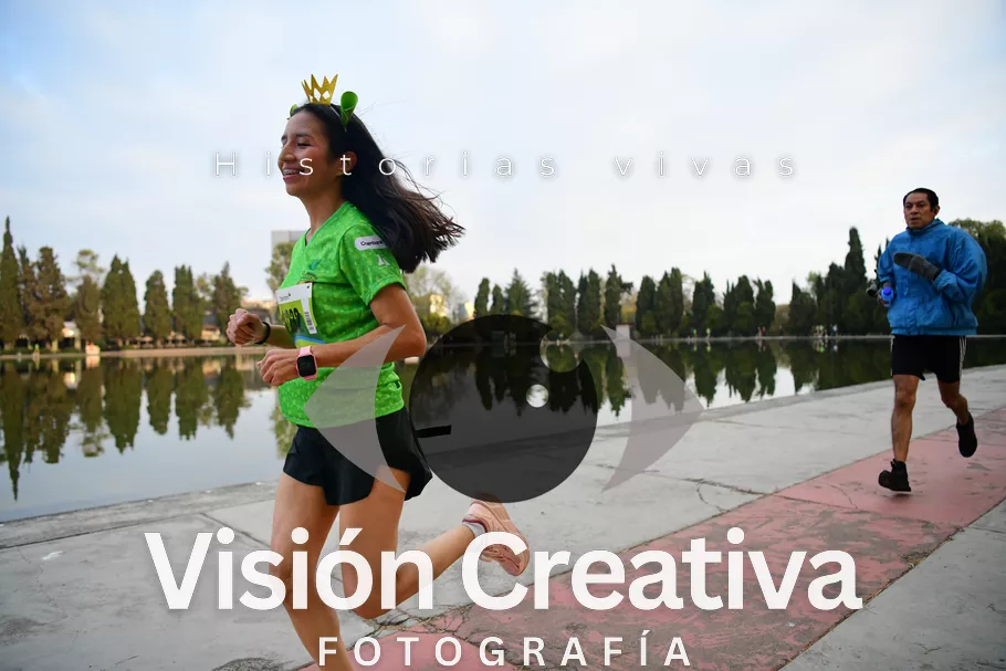 Foto del evento Shrek - CDMX 2026