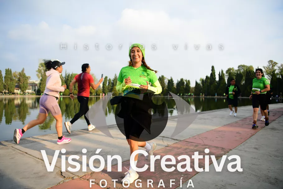 Foto del evento Shrek - CDMX 2026