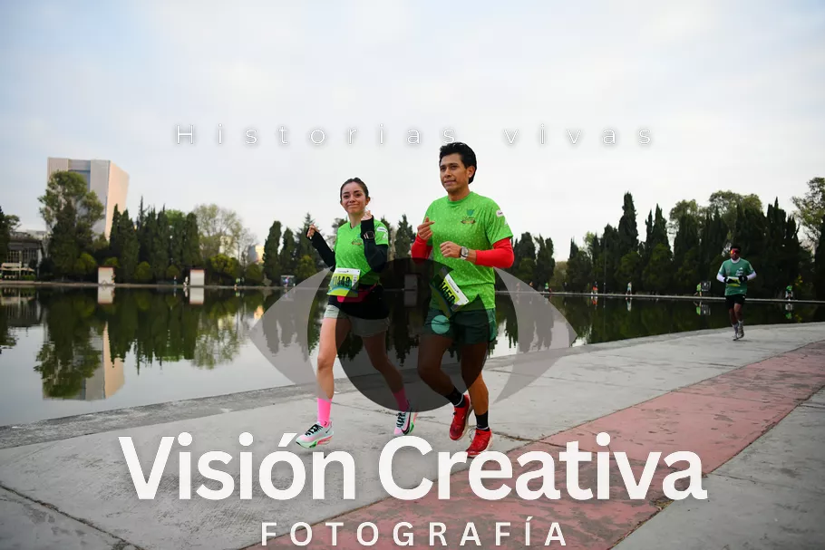 Foto del evento Shrek - CDMX 2026
