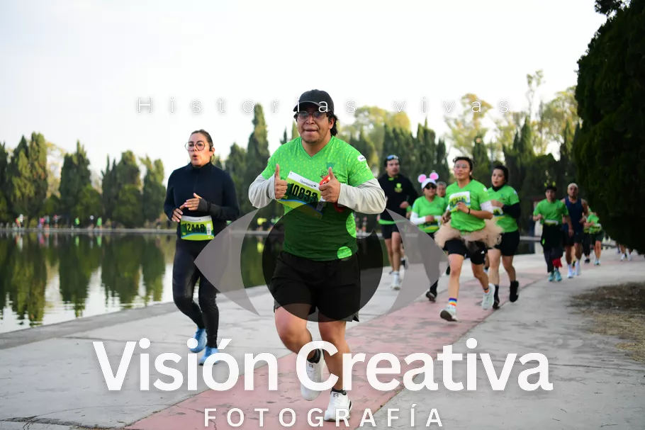Foto del evento Shrek - CDMX 2026
