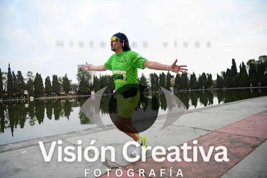 Foto del evento Shrek - CDMX 2026
