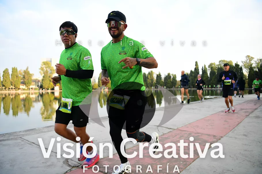 Foto del evento Shrek - CDMX 2026