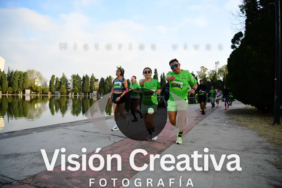 Foto del evento Shrek - CDMX 2026
