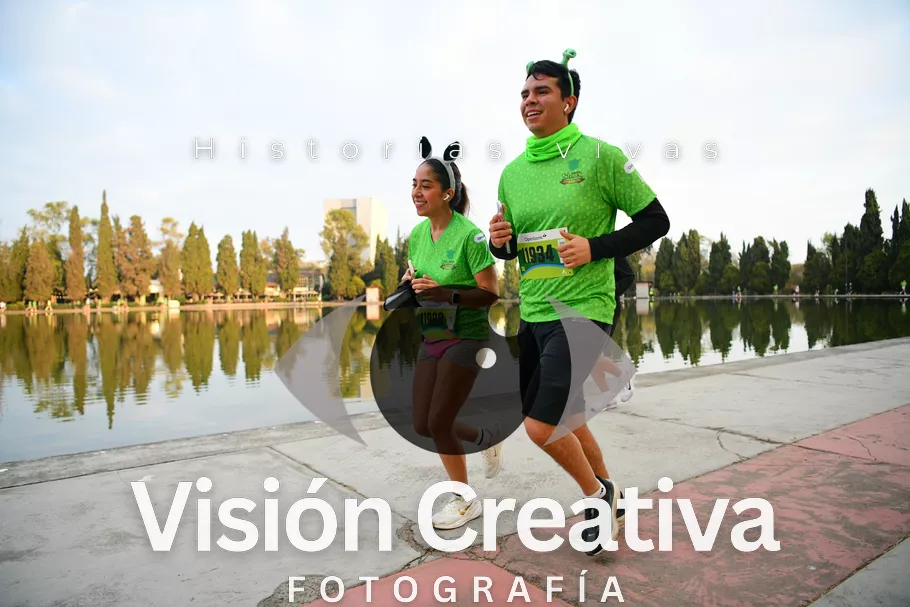 Foto del evento Shrek - CDMX 2026