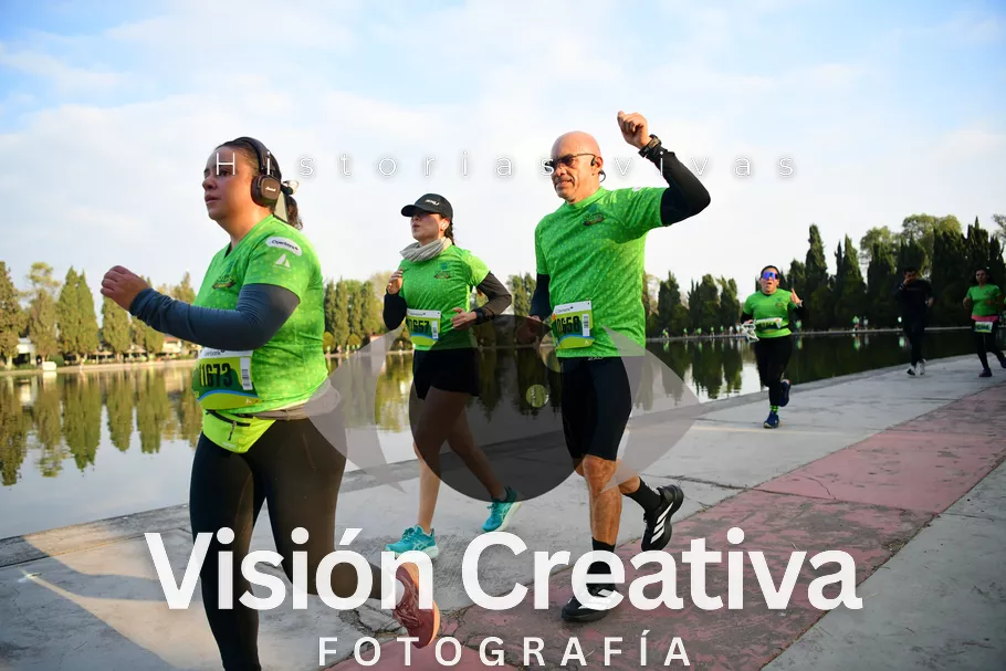 Foto del evento Shrek - CDMX 2026