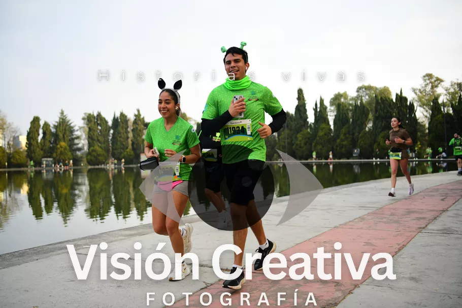 Foto del evento Shrek - CDMX 2026