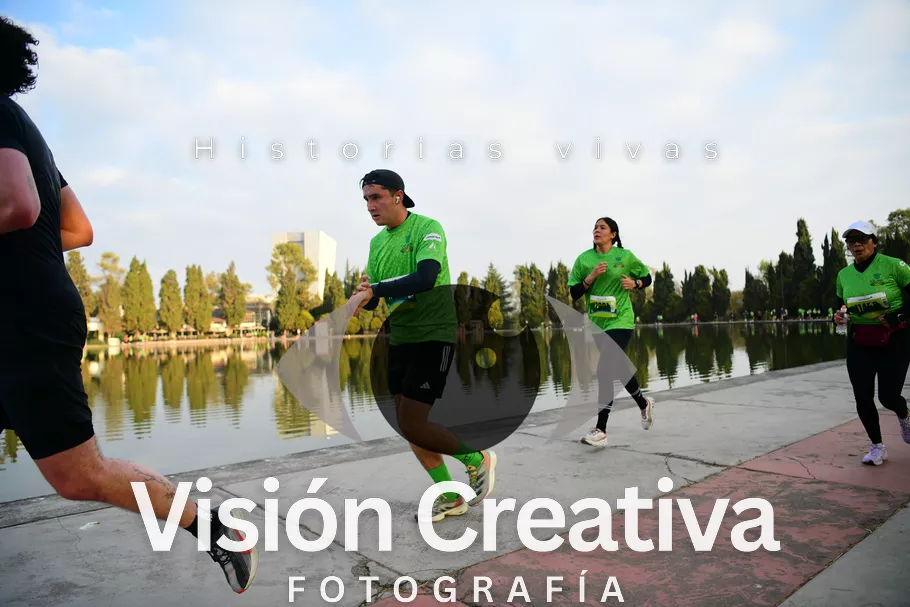 Foto del evento Shrek - CDMX 2026