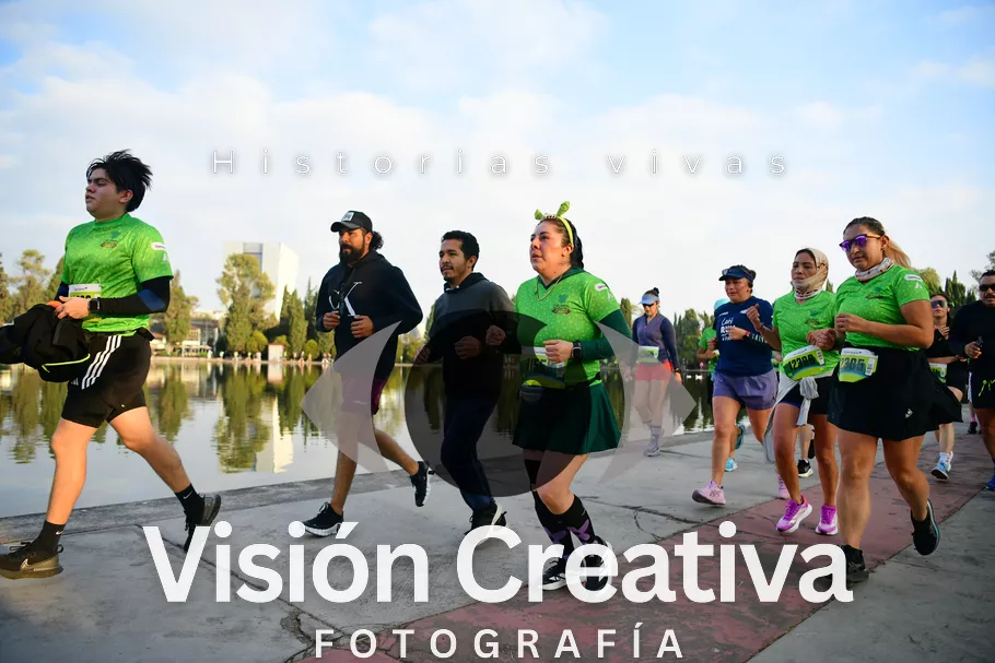 Foto del evento Shrek - CDMX 2026