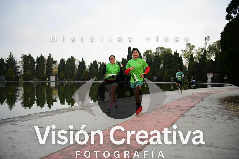 Foto del evento Shrek - CDMX 2026