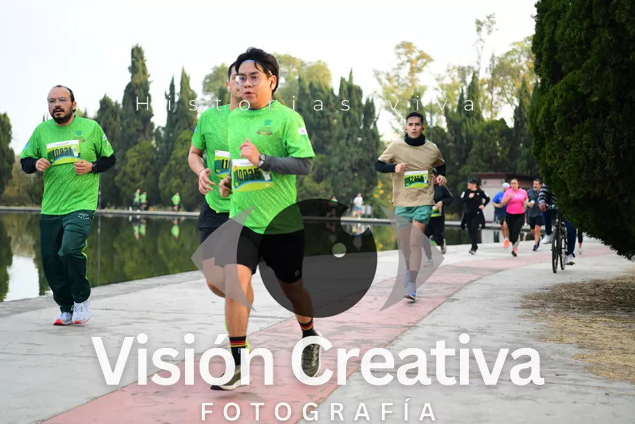 Foto del evento Shrek - CDMX 2026