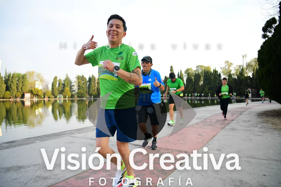 Foto del evento Shrek - CDMX 2026