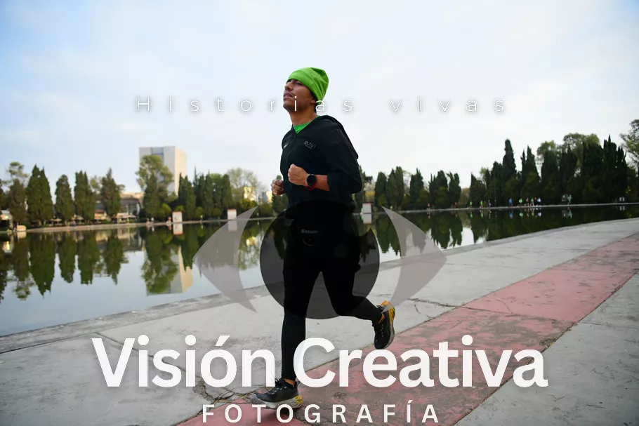 Foto del evento Shrek - CDMX 2026