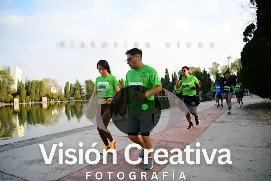 Foto del evento Shrek - CDMX 2026