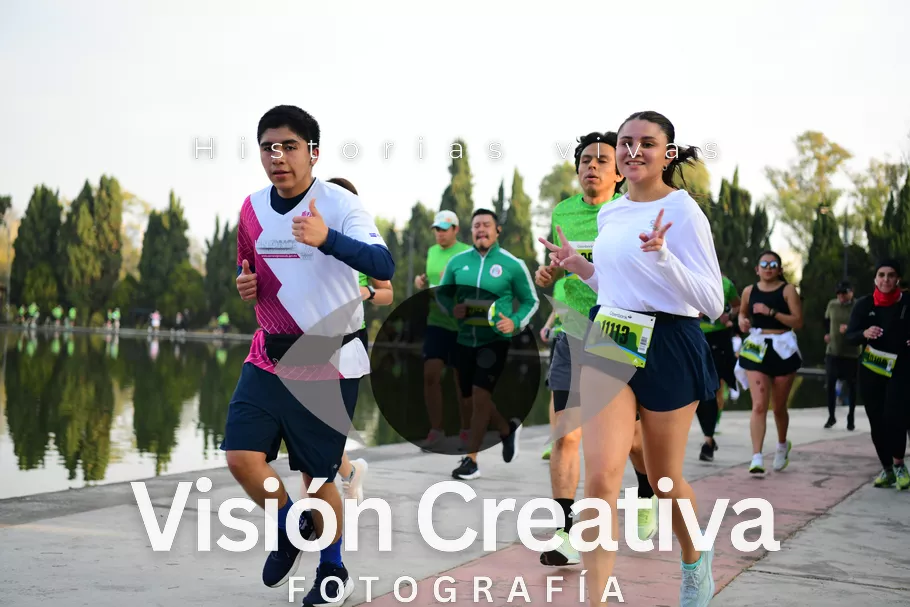 Foto del evento Shrek - CDMX 2026