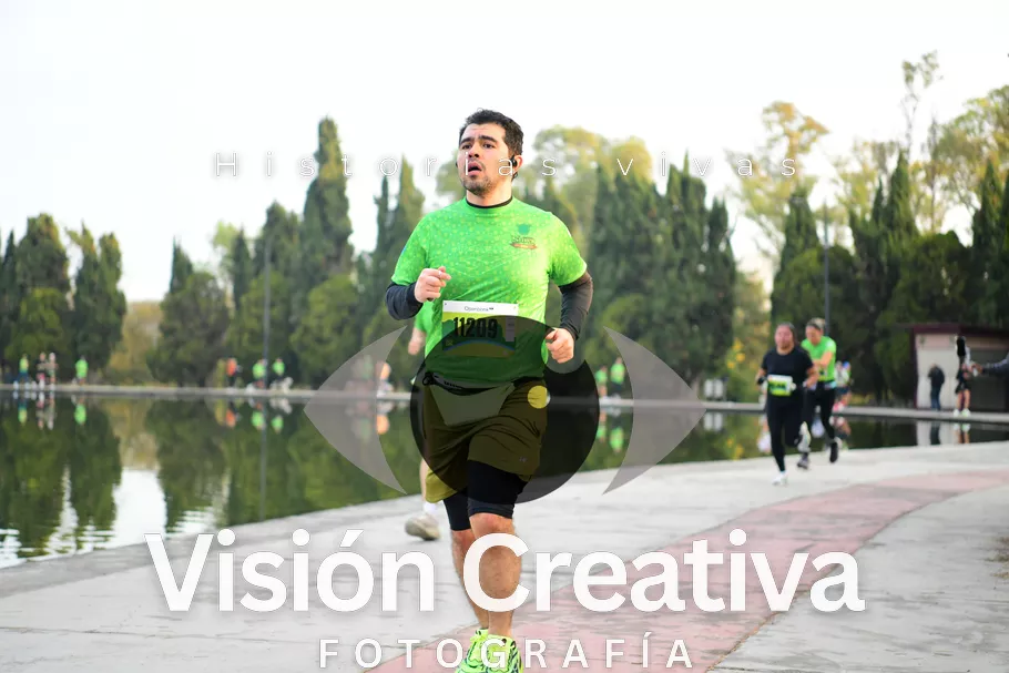 Foto del evento Shrek - CDMX 2026