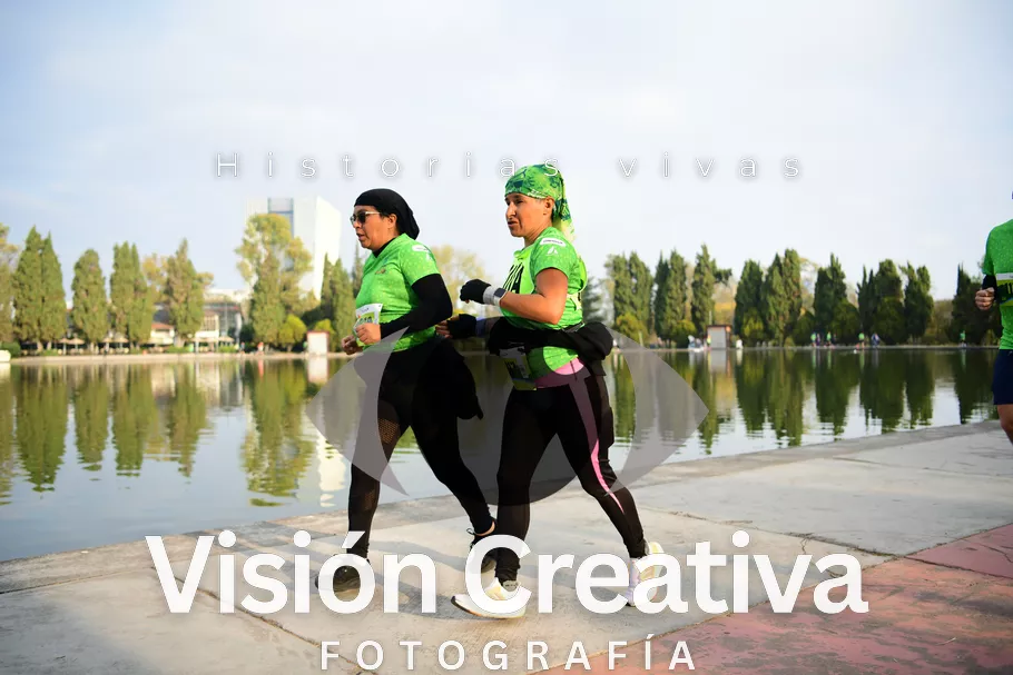 Foto del evento Shrek - CDMX 2026