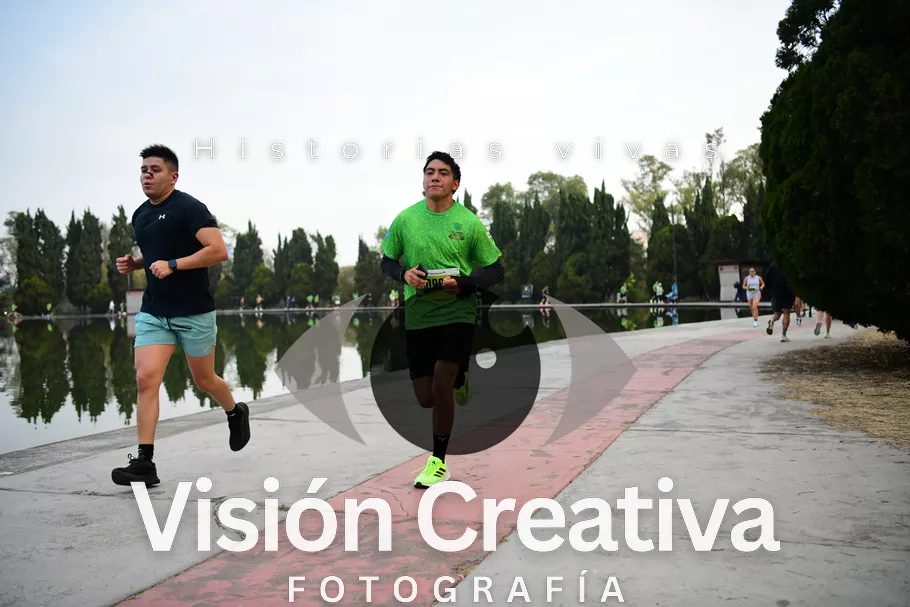 Foto del evento Shrek - CDMX 2026