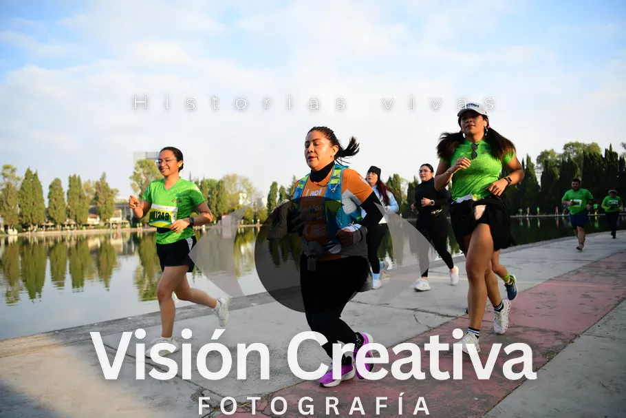 Foto del evento Shrek - CDMX 2026