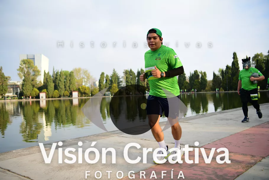 Foto del evento Shrek - CDMX 2026