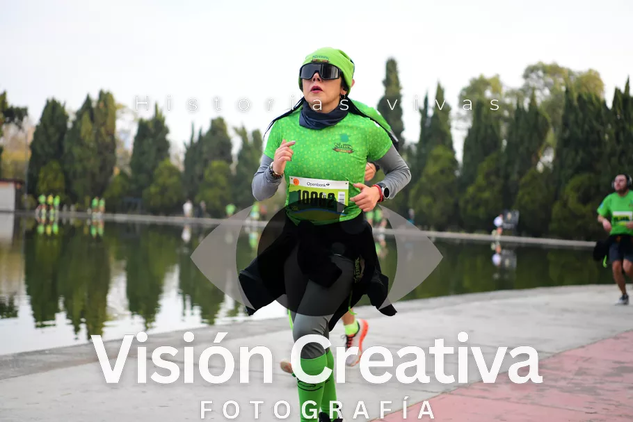 Foto del evento Shrek - CDMX 2026