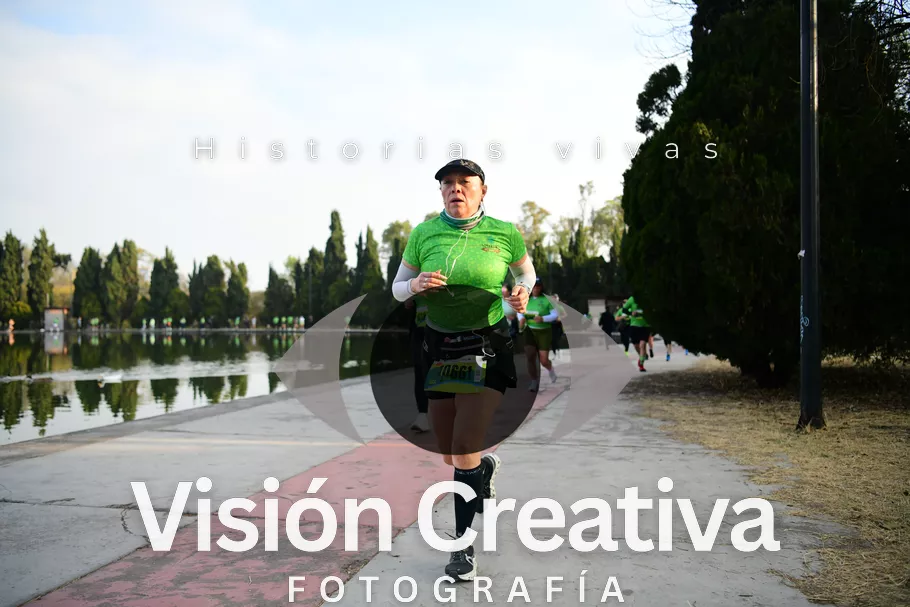 Foto del evento Shrek - CDMX 2026