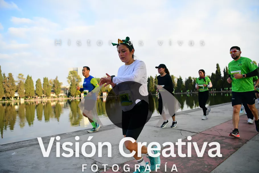 Foto del evento Shrek - CDMX 2026