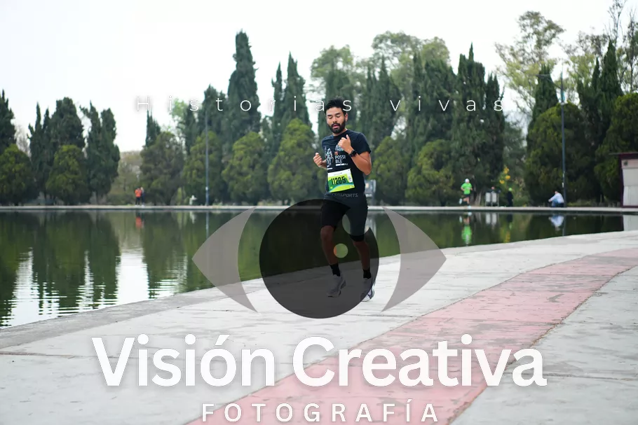 Foto del evento Shrek - CDMX 2026