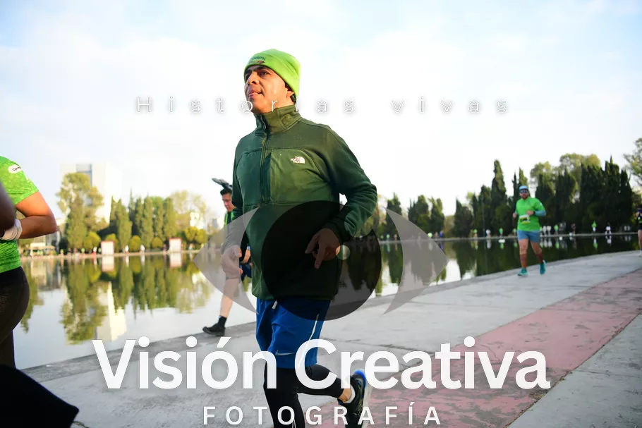 Foto del evento Shrek - CDMX 2026