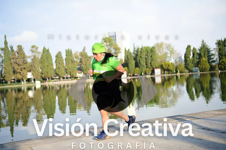 Foto del evento Shrek - CDMX 2026