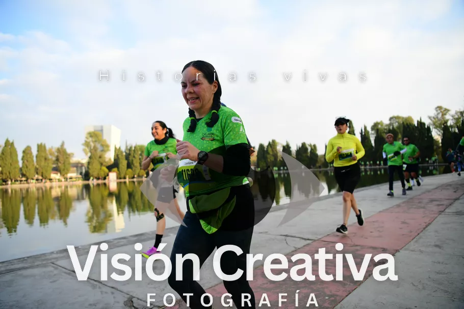 Foto del evento Shrek - CDMX 2026