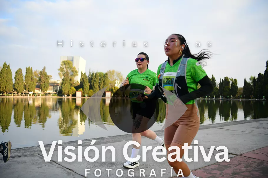 Foto del evento Shrek - CDMX 2026
