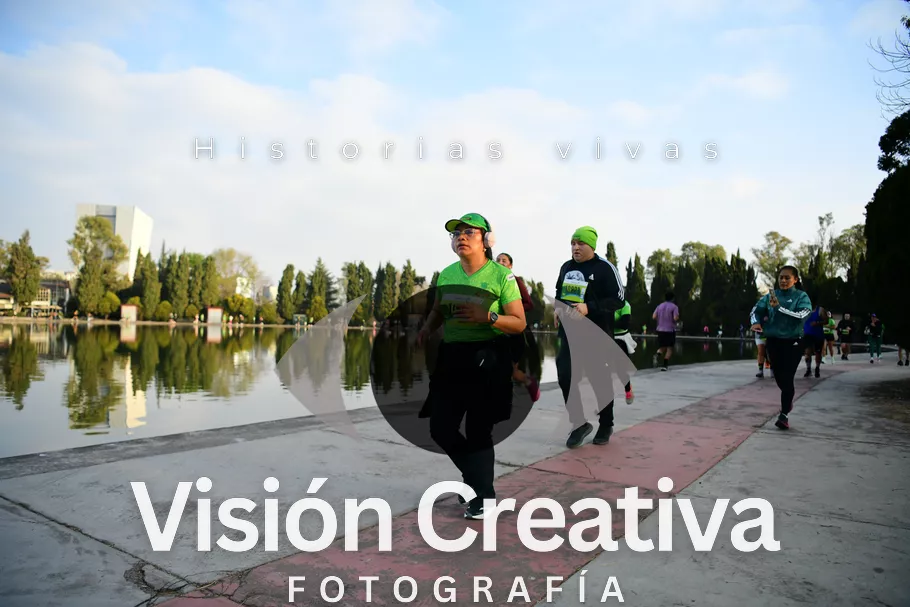 Foto del evento Shrek - CDMX 2026