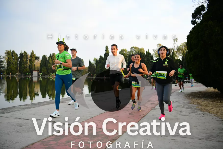 Foto del evento Shrek - CDMX 2026