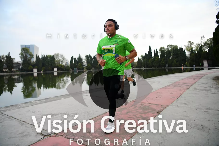 Foto del evento Shrek - CDMX 2026