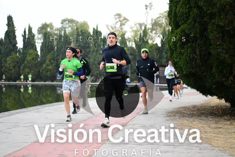 Foto del evento Shrek - CDMX 2026