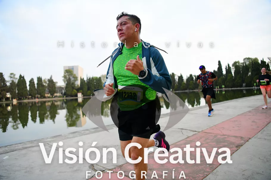 Foto del evento Shrek - CDMX 2026