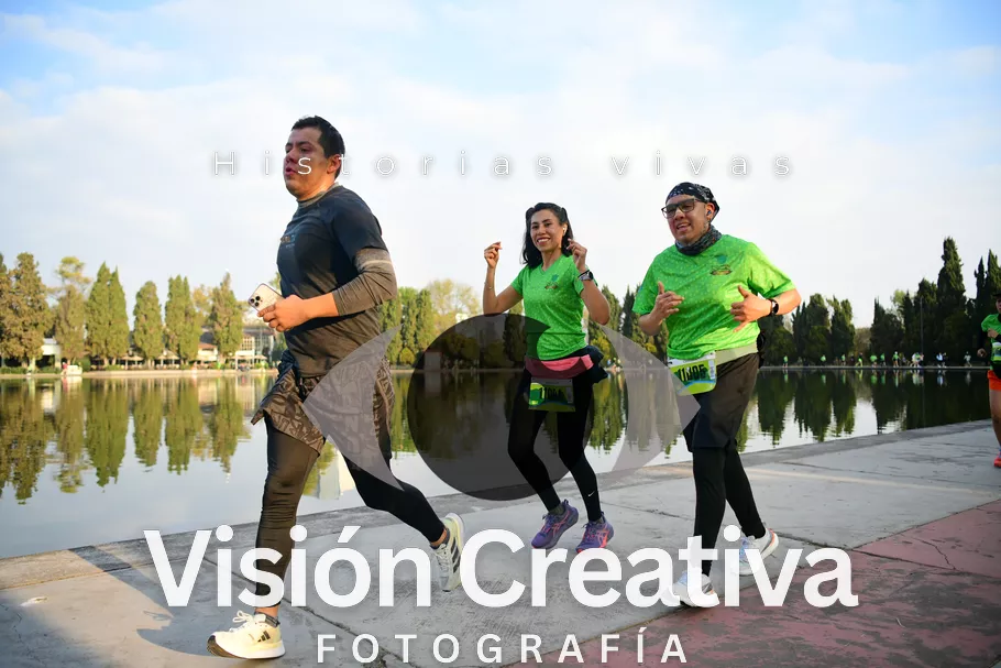 Foto del evento Shrek - CDMX 2026